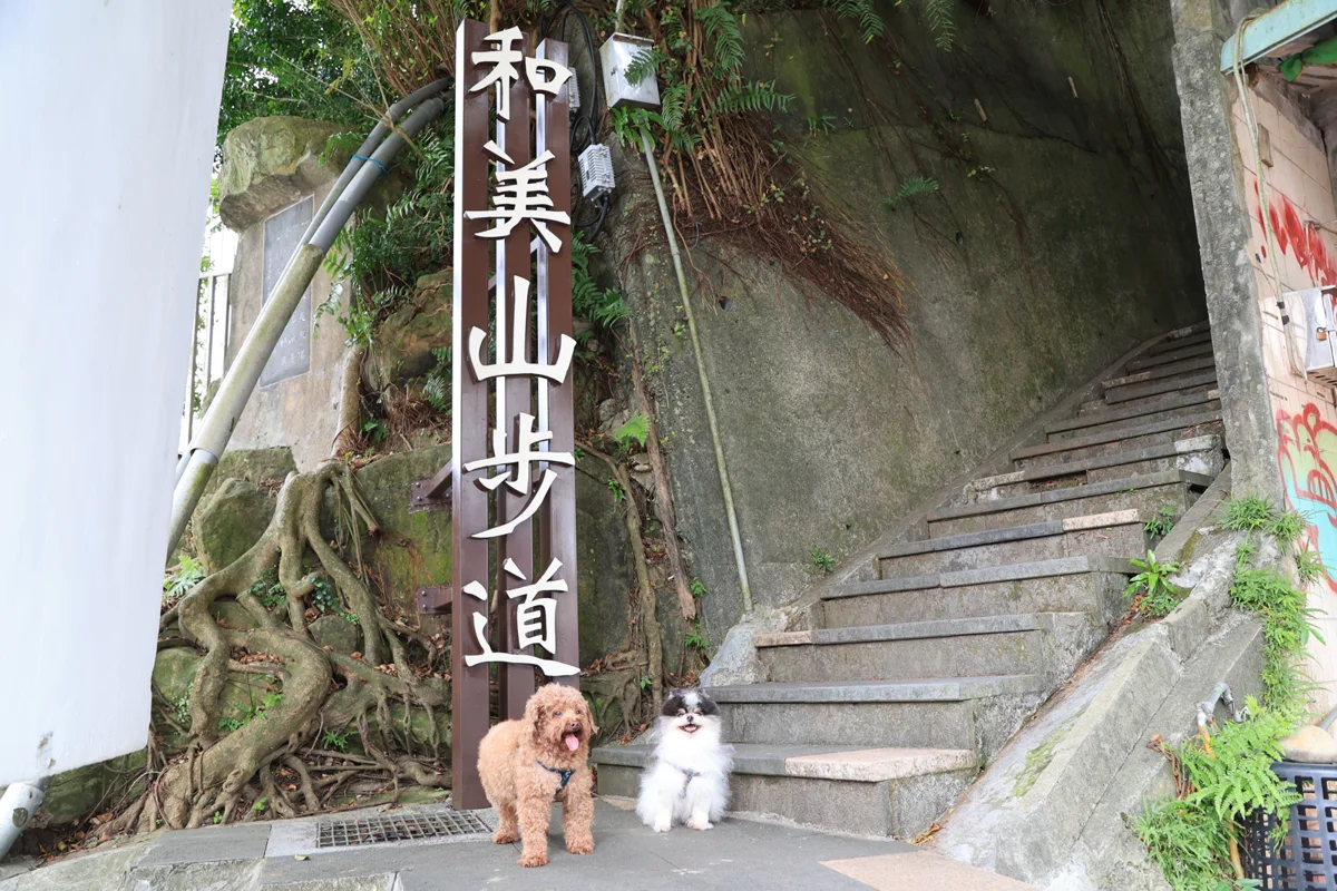 [2026最新] 新北10大毛孩旅遊路線大公開！671家友善店家地圖一鍵查