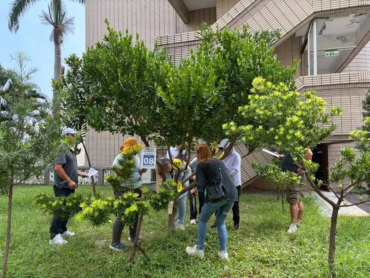 高雄樹木修剪「監看員」證照班開跑！守護城市綠肺就靠你 4月仁武登場