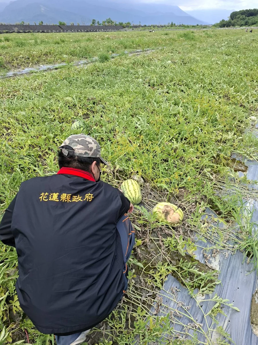 圖片來源：花蓮縣政府