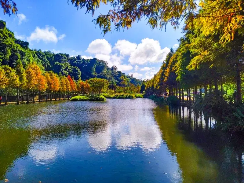 桃園山豬湖新景點,春節前開放迎賓客