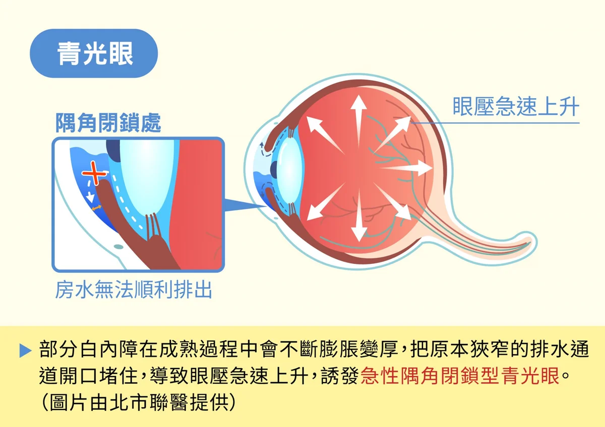 圖片來源:臺北市政府