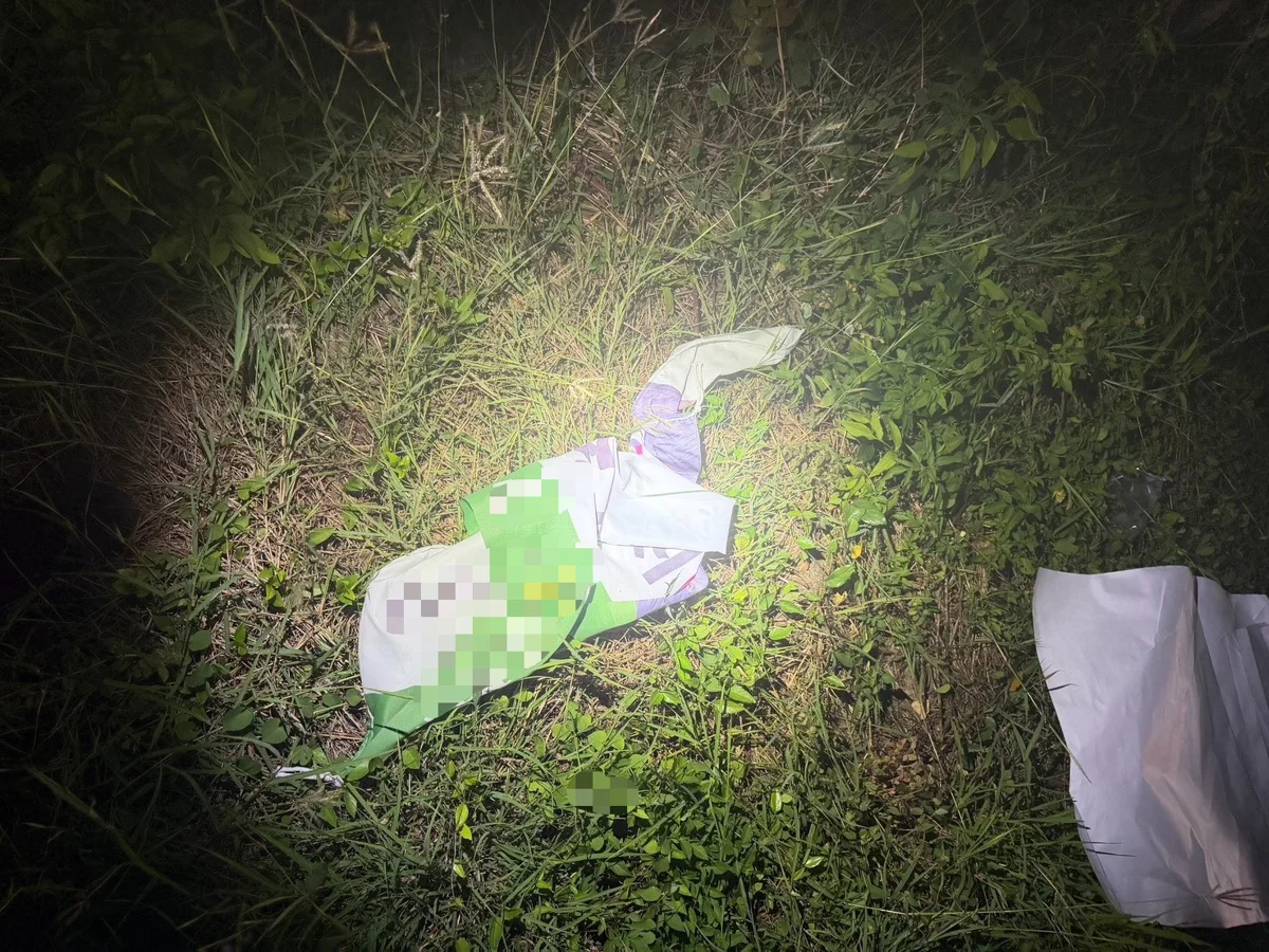 圖片來源:臺東縣政府