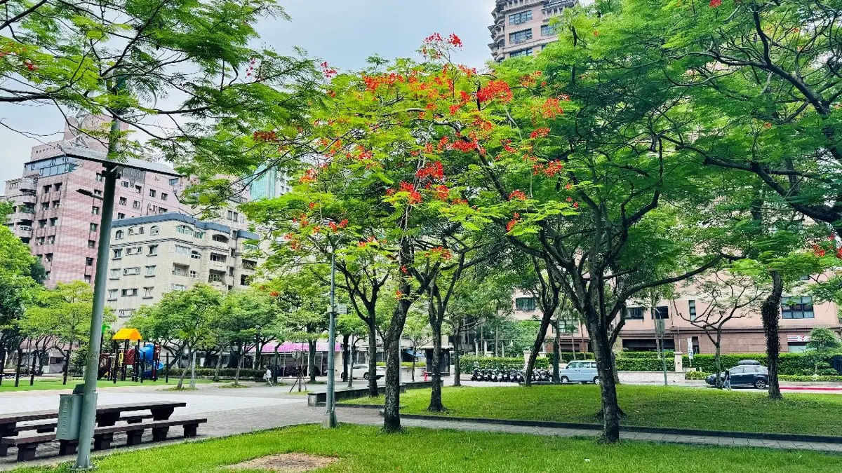 圖片來源:臺北市政府
