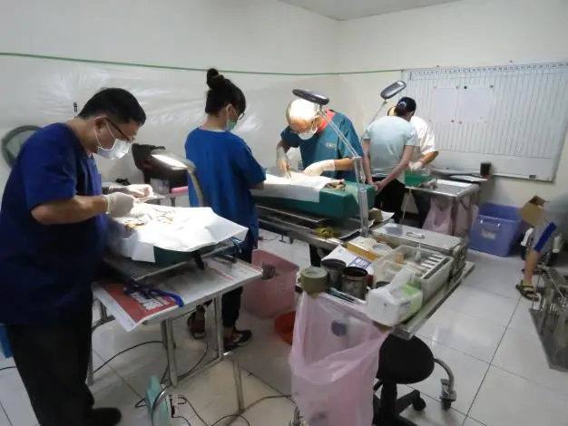 臺南毛孩爸媽注意!未幫犬貓絕育最高罰25萬,6月起絕育補助開跑