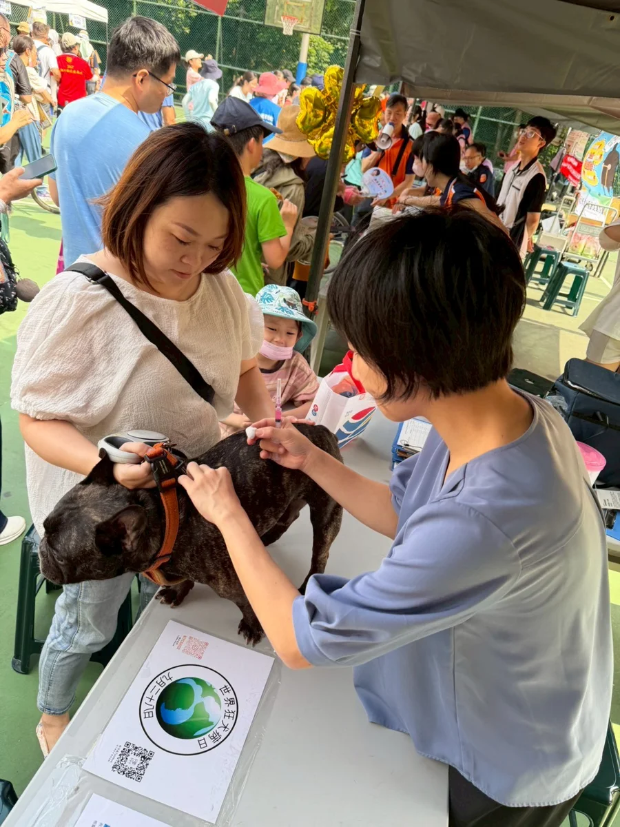 兩愛犬走失竟在動物之家重逢!新北動保處:未妥善管理最高罰1.5萬