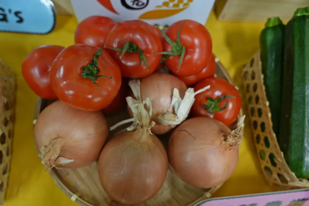圖片來源:雲林縣政府