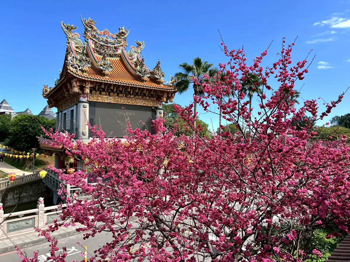 圖片來源:新北市政府