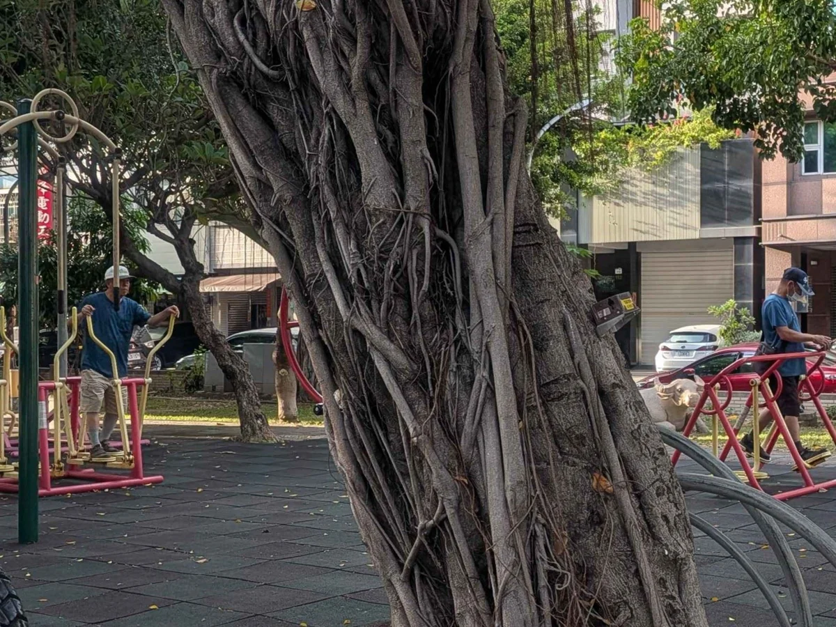 圖片來源:高雄市政府
