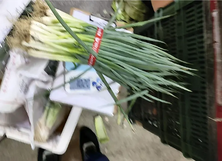 圖片來源:臺北市政府