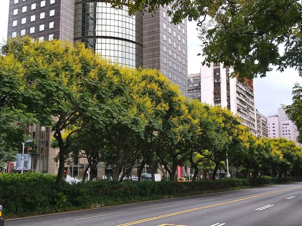 圖片來源:臺北市政府