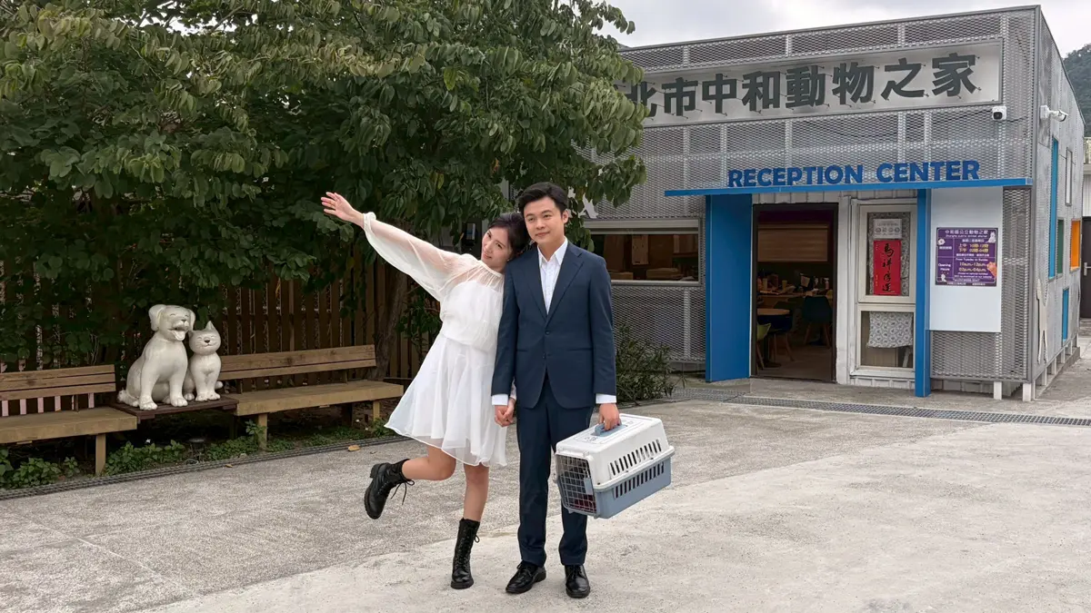圖片來源:新北市政府