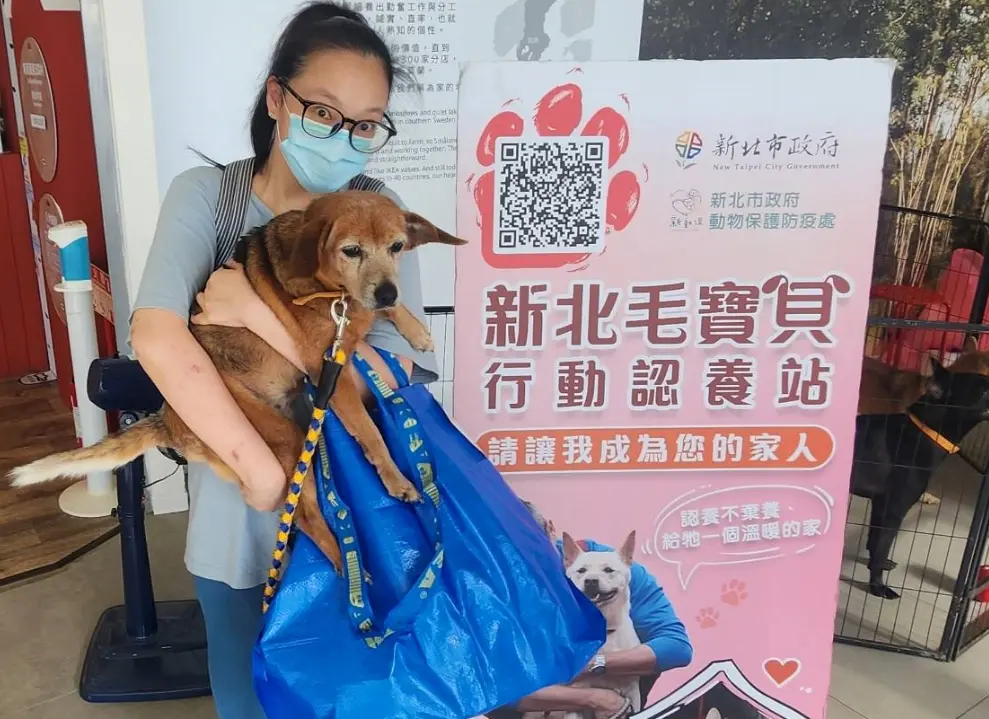 圖片來源:新北市政府