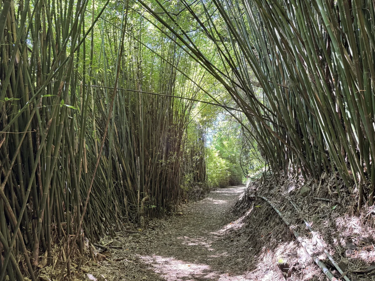 圖片來源：臺北市政府