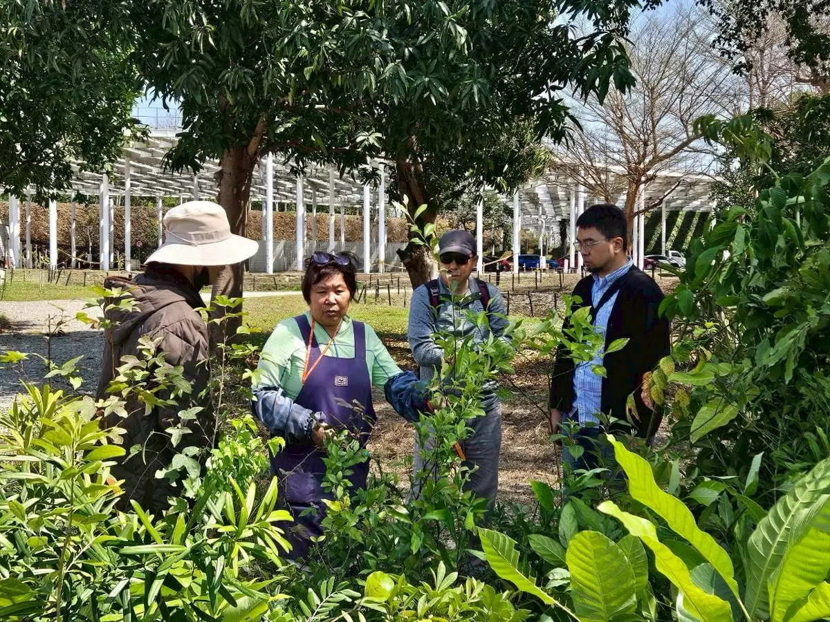 圖片來源:臺中市政府