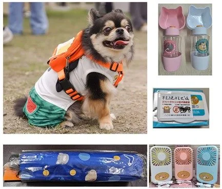 圖片來源:臺北市政府