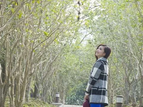 圖片來源:台南旅遊網-活動