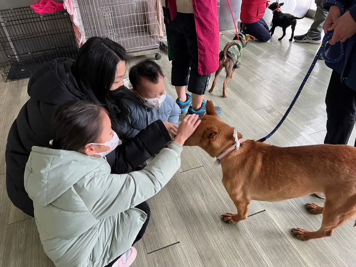 圖片來源:新北市政府
