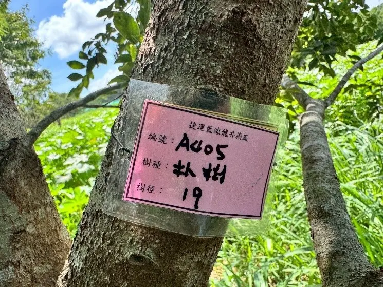 圖片來源:臺中市政府