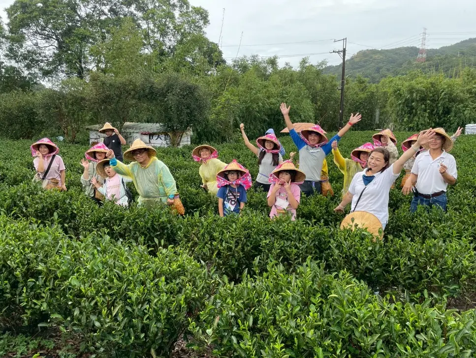 圖片來源:新北市政府