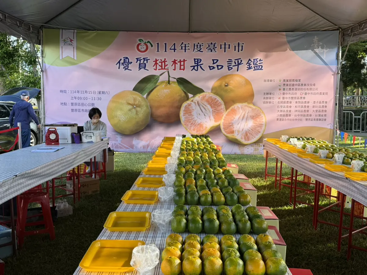 圖片來源：臺中市政府
