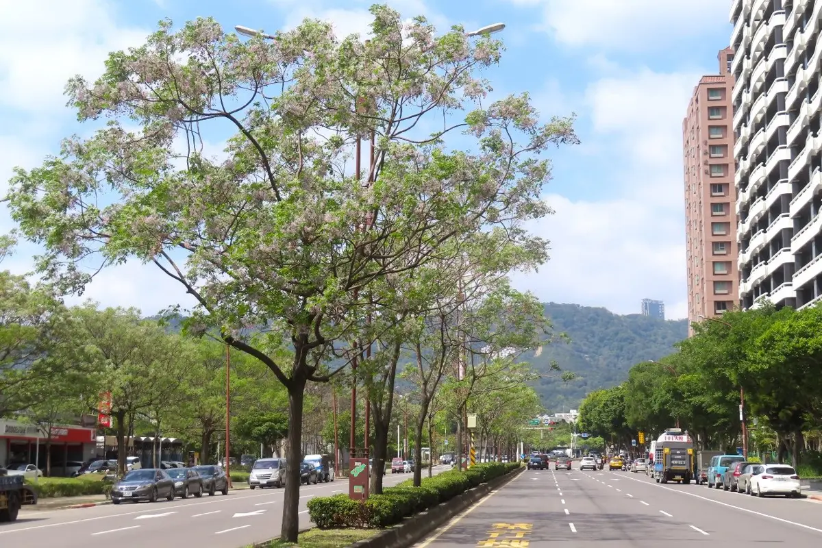 圖片來源:臺北市政府