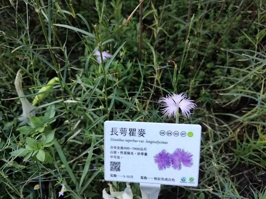 圖片來源:臺北市政府