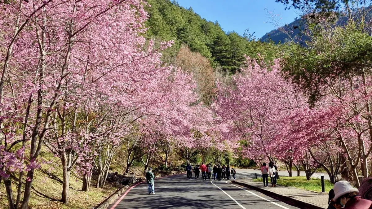 圖片來源:臺中市政府
