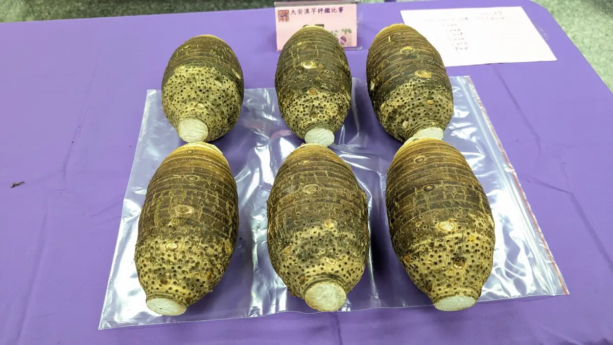 圖片來源:臺中市政府