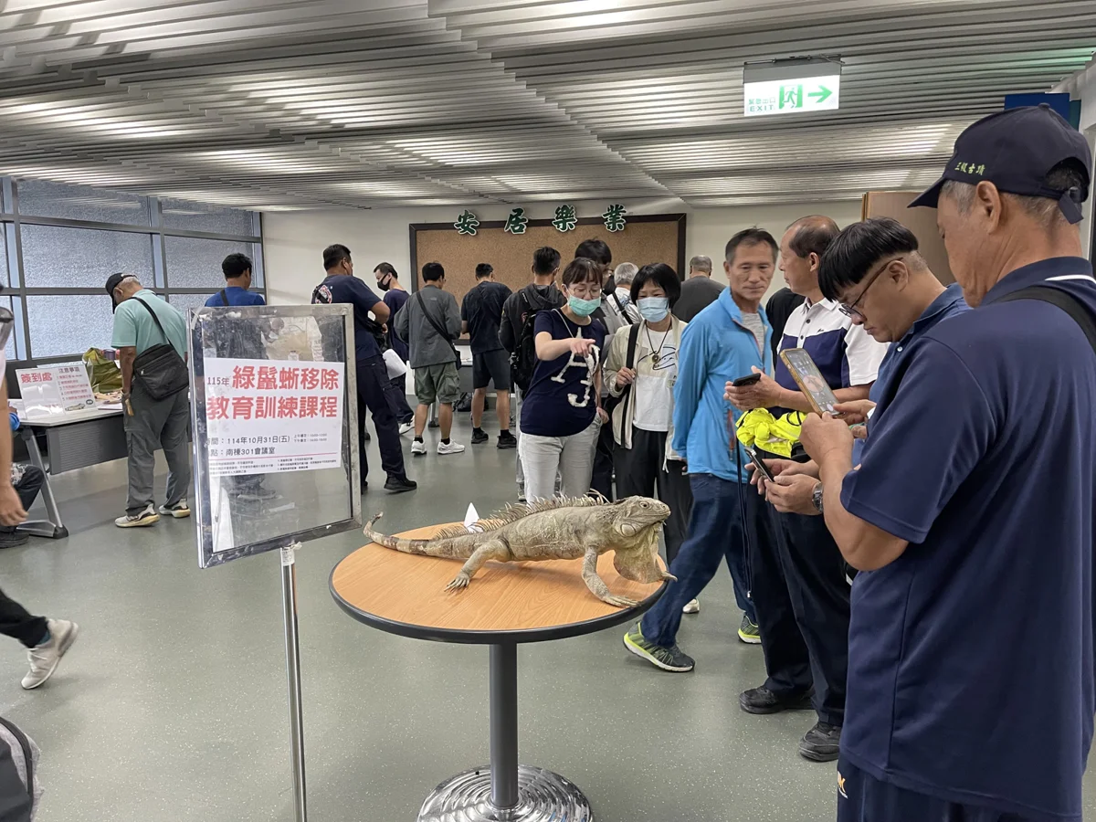 抓綠鬣蜥換禮券!屏東縣移除教育訓練9/22開放報名,最高可領300元