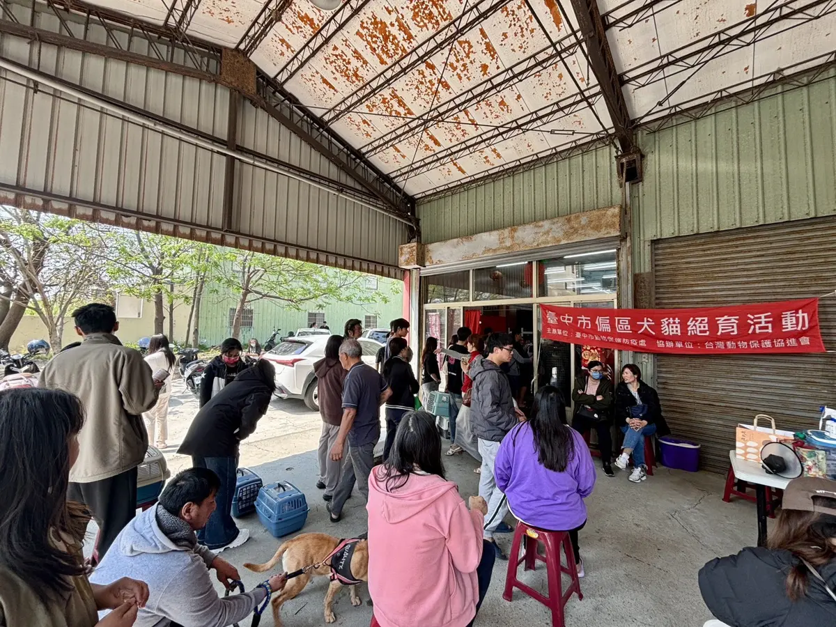 荷包當心！台中犬貓未絕育最高罰25萬，梧棲首場免費3合1活動登場