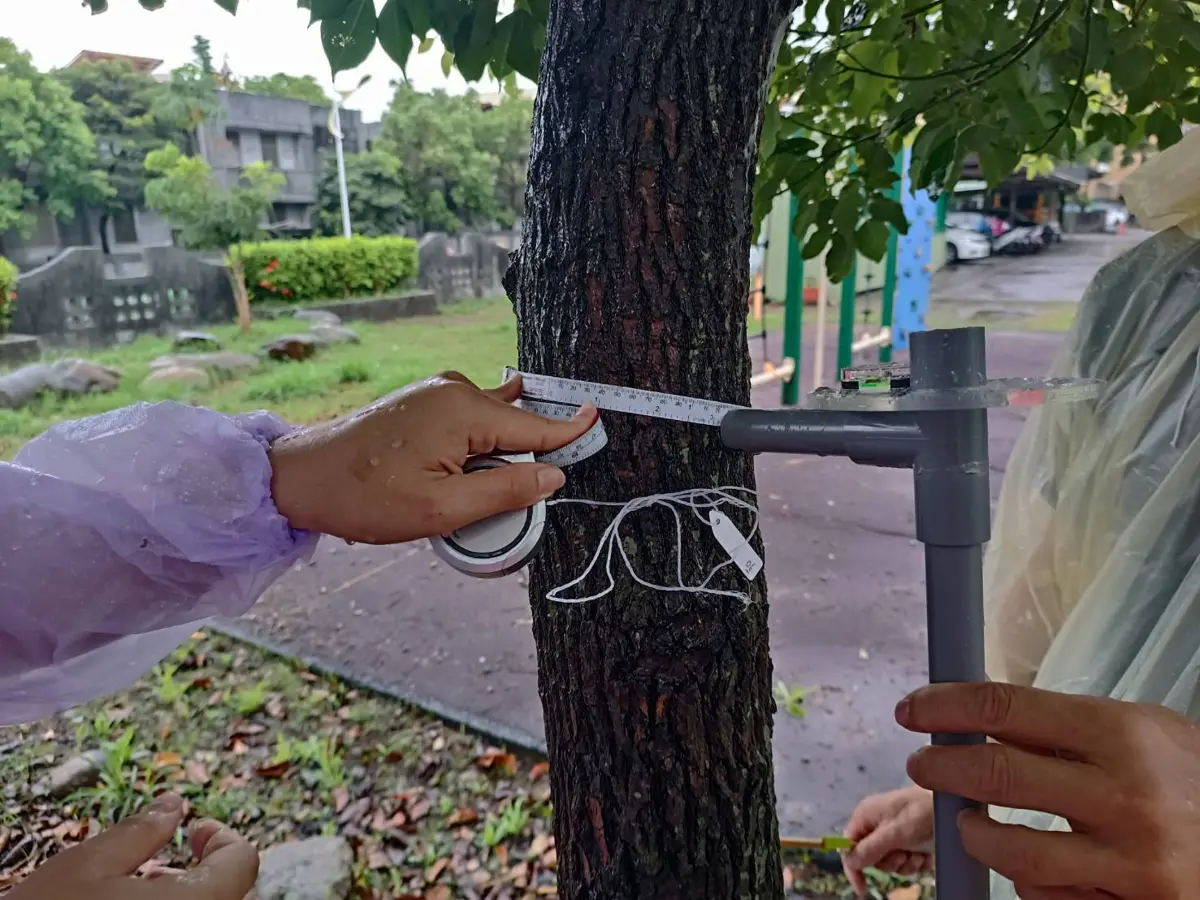 圖片來源：花蓮縣政府