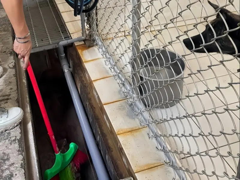 圖片來源:新北市政府