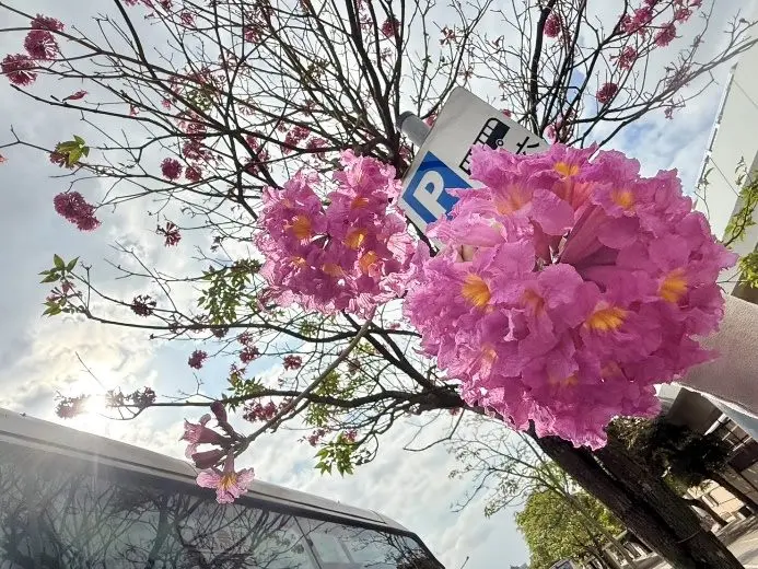 圖片來源:臺北市政府
