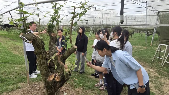 圖片來源:臺南市政府