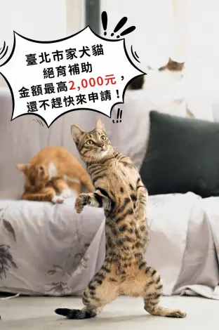 圖片來源:臺北市政府