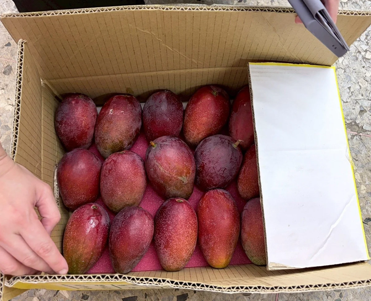 圖片來源:臺北市政府