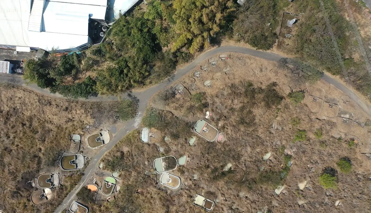 圖片來源:臺中市政府