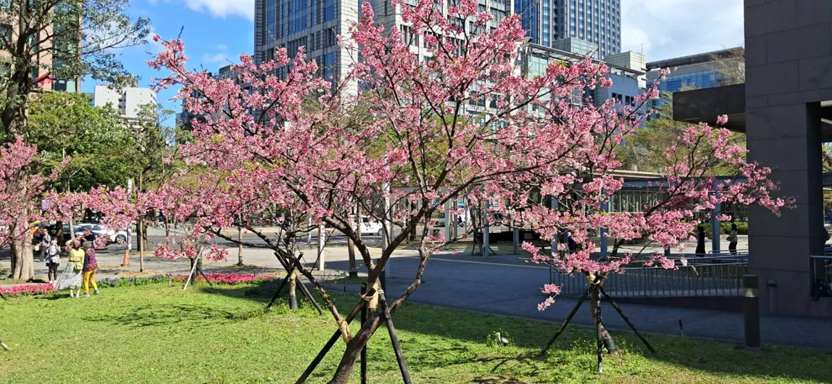 圖片來源：臺北市政府