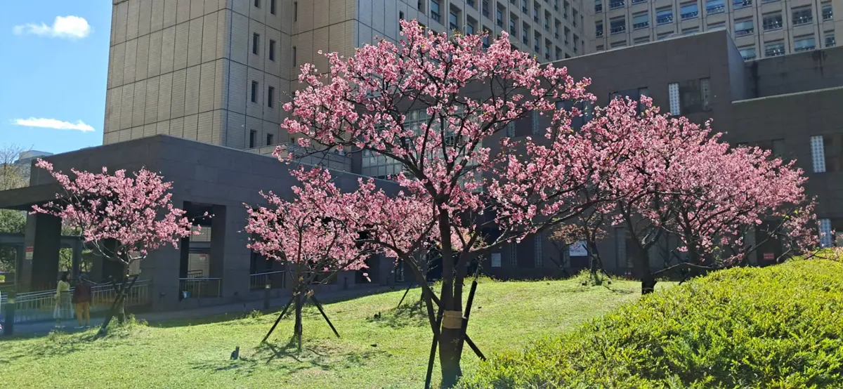 圖片來源：臺北市政府