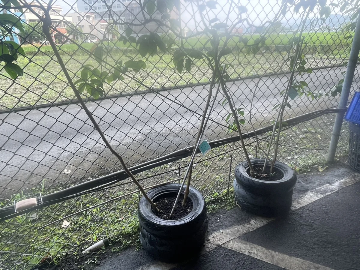 圖片來源:臺中市政府