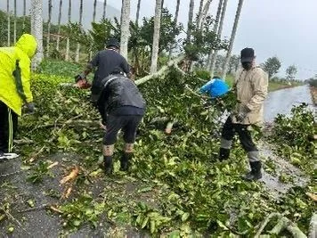 圖片來源:花蓮縣政府