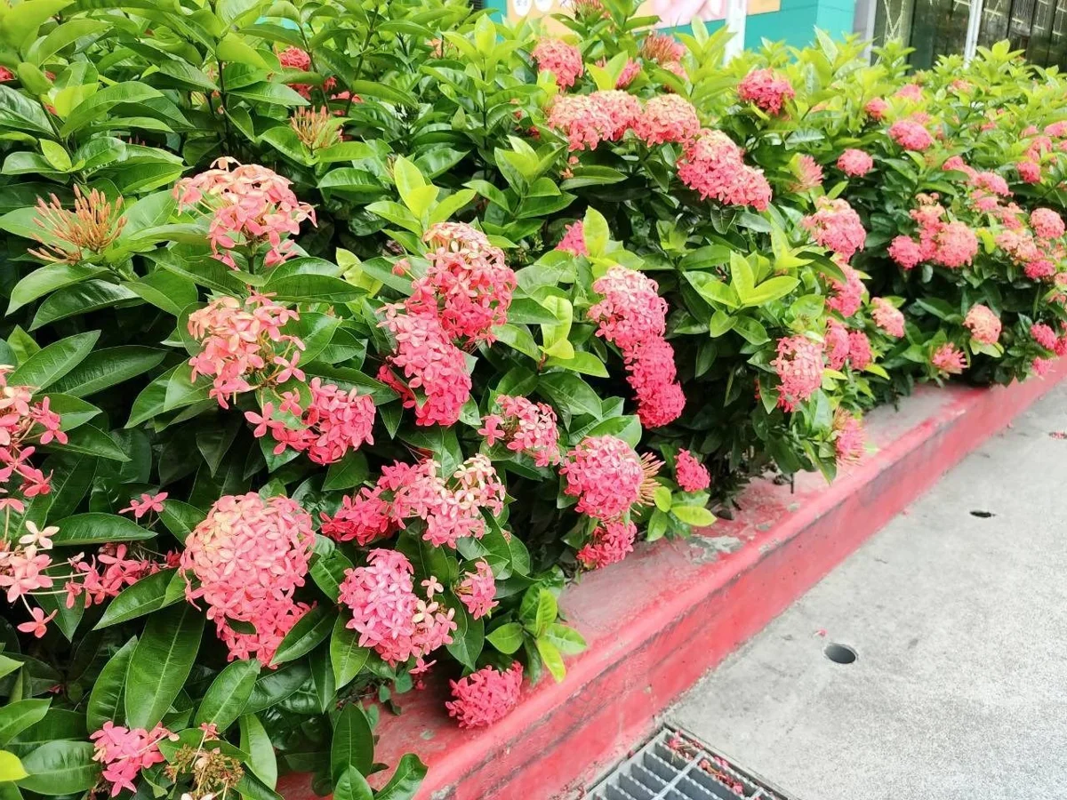 圖片來源：臺北市政府