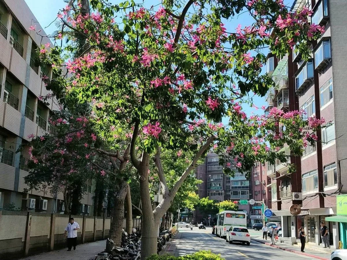 圖片來源:臺北市政府