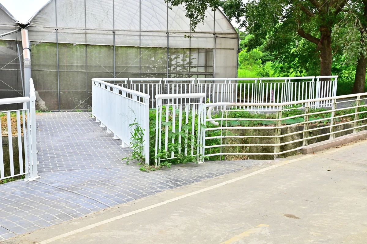 圖片來源：臺中市政府