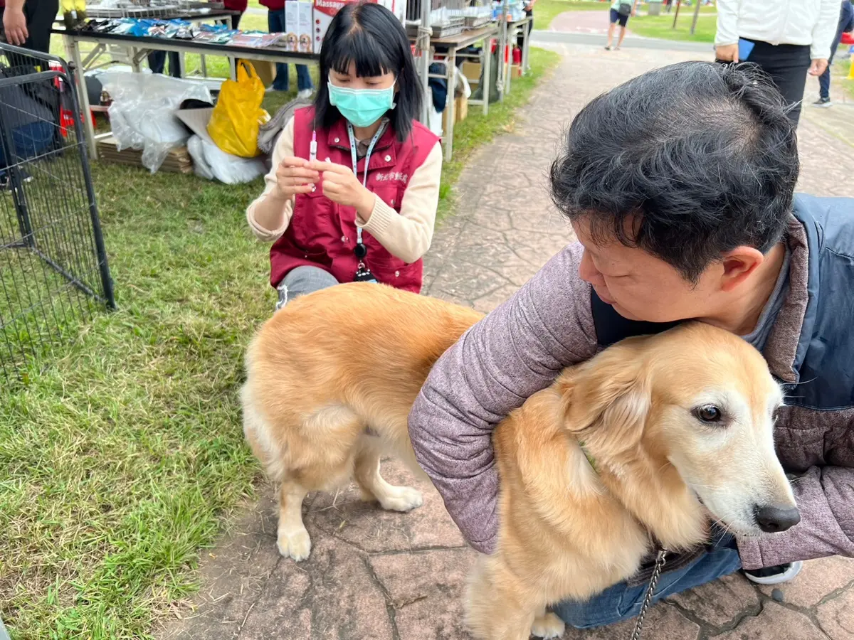 圖片來源:新北市政府