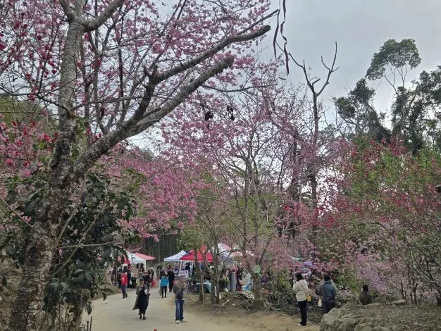 圖片來源:雲林縣政府
