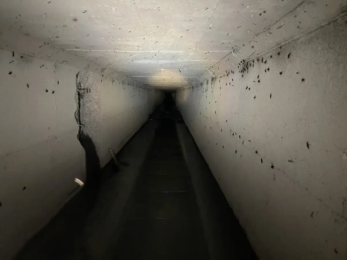 圖片來源:臺中市政府