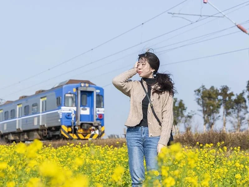 苗栗必訪秘境大公開!從黃金花海到台版神隱少女場景,8大打卡熱點一次看