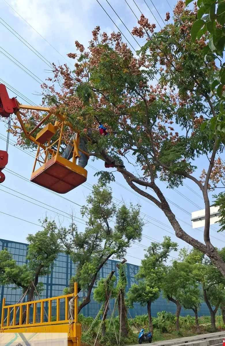圖片來源:高雄市政府
