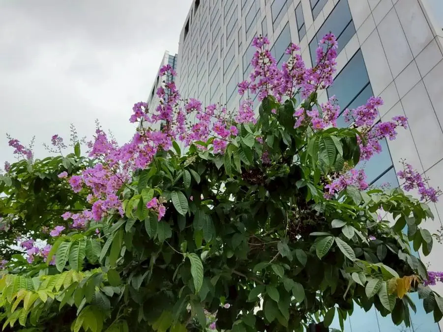 圖片來源:臺北市政府